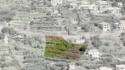 /international/pt/santa-cruz-santa-cruz-madeira-310103487099/