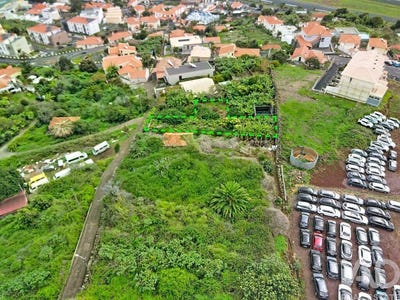 /international/pt/ilha-da-madeira-madeira-310103814191/
