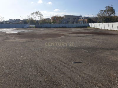 /international/pt/quinta-de-santo-antonio-azambuja-lisbon-310107704573/