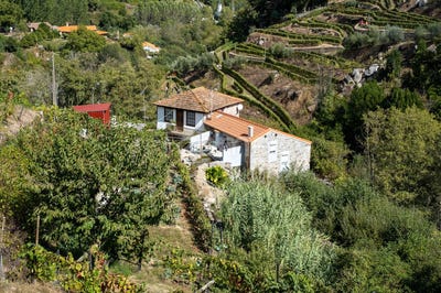 /international/pt/lamego-porto-310105338579/