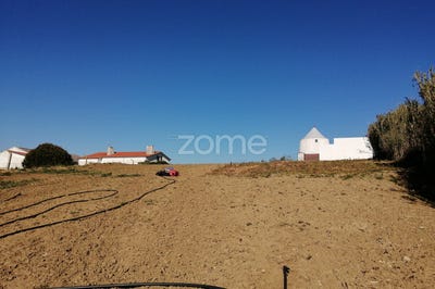 /international/pt/arruda-dos-vinhos-lisbon-120067138444/