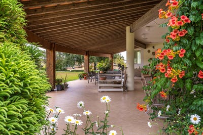 /international/pt/santarem-santarem-310095923721/