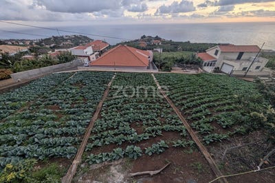 /international/pt/ponta-do-sol-madeira-310107088318/