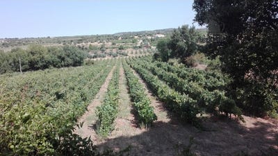 /international/pt/vila-de-frades-vila-real-310109222635/
