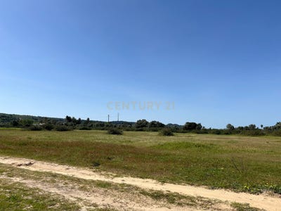 /international/pt/palmela-setubal-municipality-310098508043/