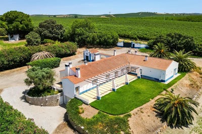 /international/pt/ferreira-do-alentejo-e-canhestros-beja-310108649980/?lang=zh-cn