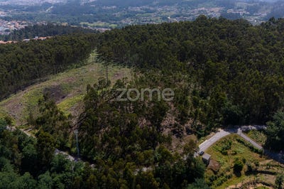 /international/pt/fafe-braga-310108642460/