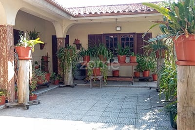 /international/pt/cantanhede-coimbra-310097949066/