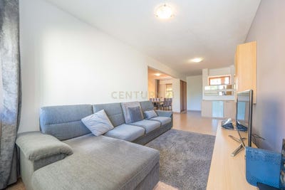 /international/pt/setubal-sao-sebastiao-setubal-municipality-310101034713/