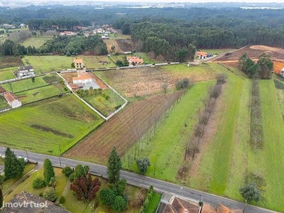 /international/pt/aguada-de-cima-aveiro-310105015837/