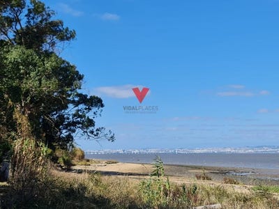 /international/pt/alcochete-setubal-municipality-310098697179/