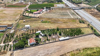 /international/pt/brejo-de-carreteiros-quinta-do-anjo-setubal-municipality-310108520099/