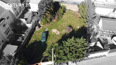 /international/pt/santa-iria-de-azoia-lisbon-120091026604/