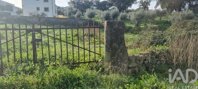 /international/pt/portalegre-portalegre-120089891979/