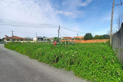 /international/pt/vagos-aveiro-310106392489/