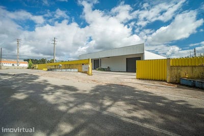 /international/pt/agueda-e-borralha-aveiro-district-310103486051/