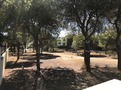 /international/pt/loule-faro-310100484559/