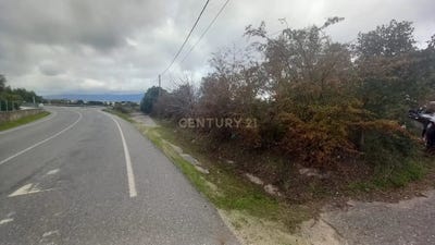 /international/pt/chao-da-quinta-lardosa-castelo-branco-310105248169/