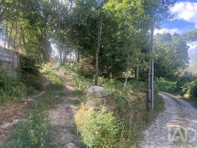 /international/pt/viseu-viseu-310109199429/