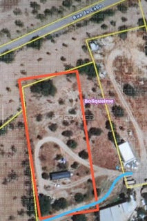 /international/pt/boliqueime-loule-faro-310107420426/
