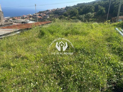 /international/pt/machico-madeira-310108483707/