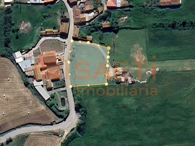 /international/pt/maiorca-coimbra-310100487671/