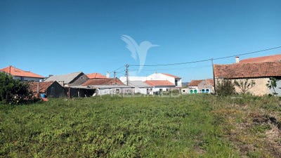 /international/pt/porto-de-mos-sao-joao-baptista-e-sao-pedro-porto-de-mos-leiria-310107410752/