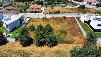 /international/pt/ranhados-viseu-310100889953/