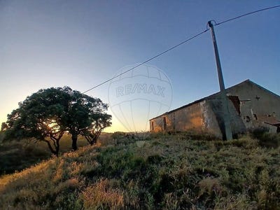 /international/pt/beja-beja-310108556493/