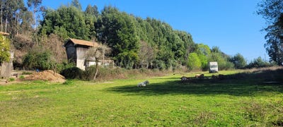 /international/pt/rua-venda-de-baixo-pedroso-porto-310103003982/