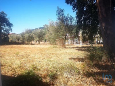 /international/pt/leiria-leiria-310101083499/?lang=it