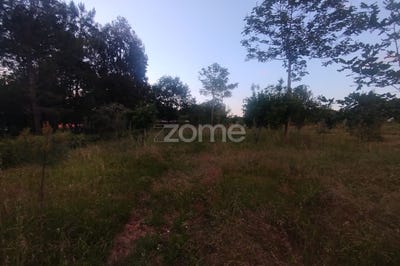 /international/pt/mangualde-viseu-310108209462/