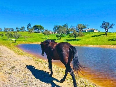 /international/pt/santiago-do-cacem-setubal-municipality-310101173519/?lang=zh-cn