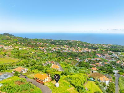 /international/pt/estrada-do-pico-26-9230-153-sao-jorge-portugal-ilha-da-madeira-madeira-310101601973/