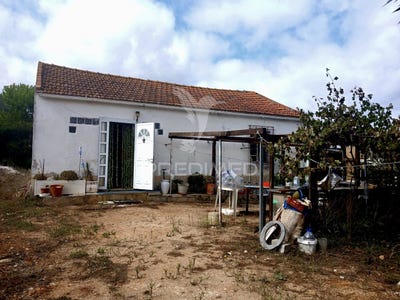 /international/pt/cartaxo-e-vale-da-pinta-cartaxo-santarem-310096778565/?lang=zh-tw