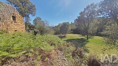 /international/pt/coimbra-lisbon-310100537344/