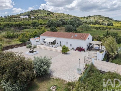 /international/pt/silves-faro-310108277413/