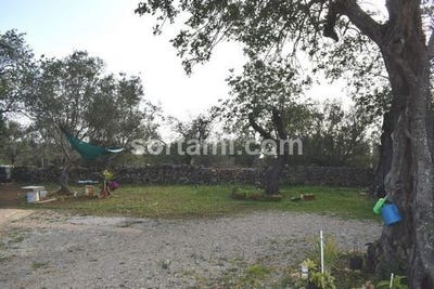 /international/pt/loule-faro-310107791288/