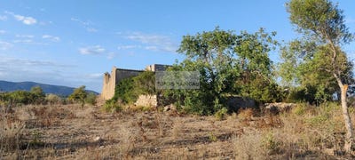 /international/pt/quelfes-faro-310109223476/?lang=fr