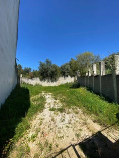 /international/pt/abitureiras-santarem-310098443454/?lang=zh-tw
