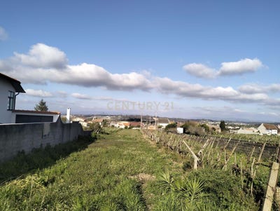 /international/pt/esgueira-aveiro-310098415831/