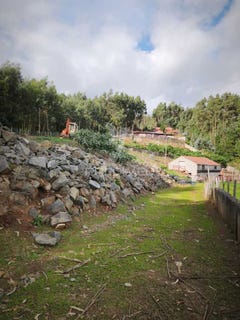 /international/pt/camacha-santa-cruz-madeira-310103551688/