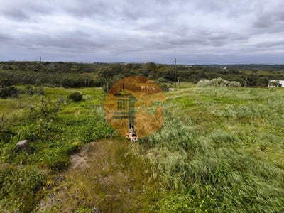 /international/pt/azinhal-faro-310106773915/