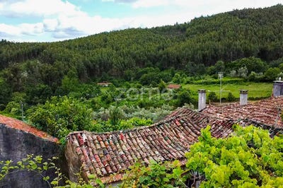 /international/pt/castanheira-de-pera-leiria-120093097015/