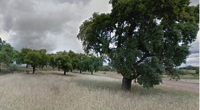 /international/pt/3p44-r7-pedrogao-portugal-aldeia-de-santa-margarida-castelo-branco-310105187677/
