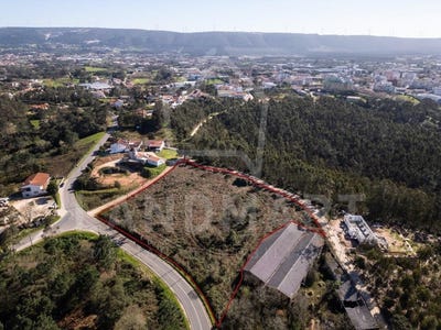 /international/pt/benedita-leiria-310106189166/