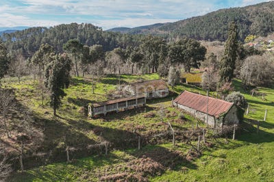 /international/pt/ribeira-de-pena-vila-real-310098577330/