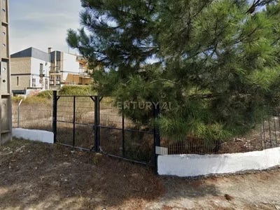 /international/pt/rua-das-hortensias-amora-setubal-municipality-310107175397/