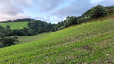 /international/pt/roca-das-batatas-ilha-de-sao-miguel-azores-310107524214/