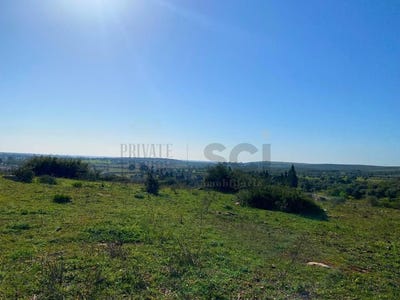 /international/pt/serpa-salvador-e-santa-maria-beja-310098741514/